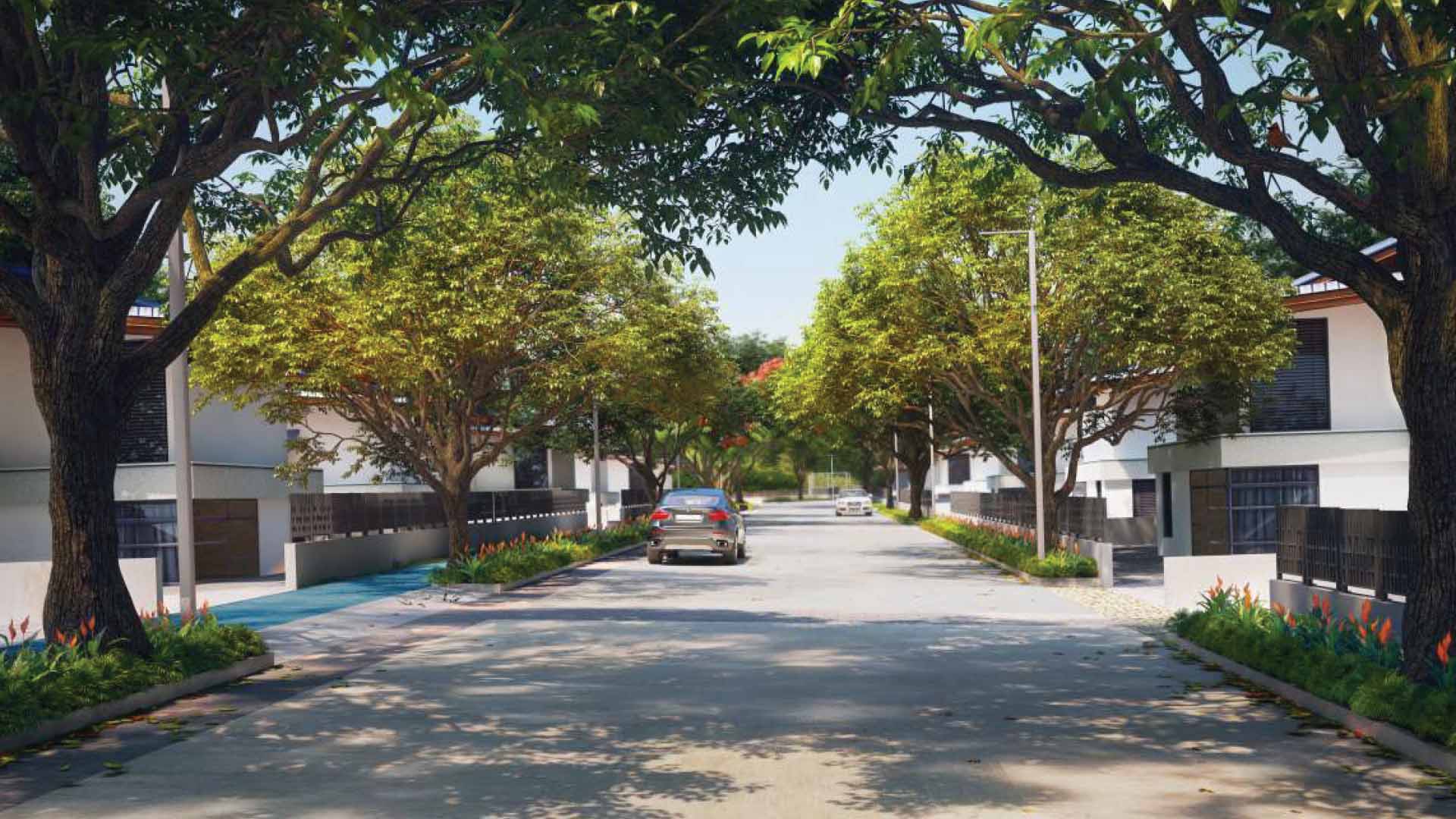 46 Banyan Tree - View 4