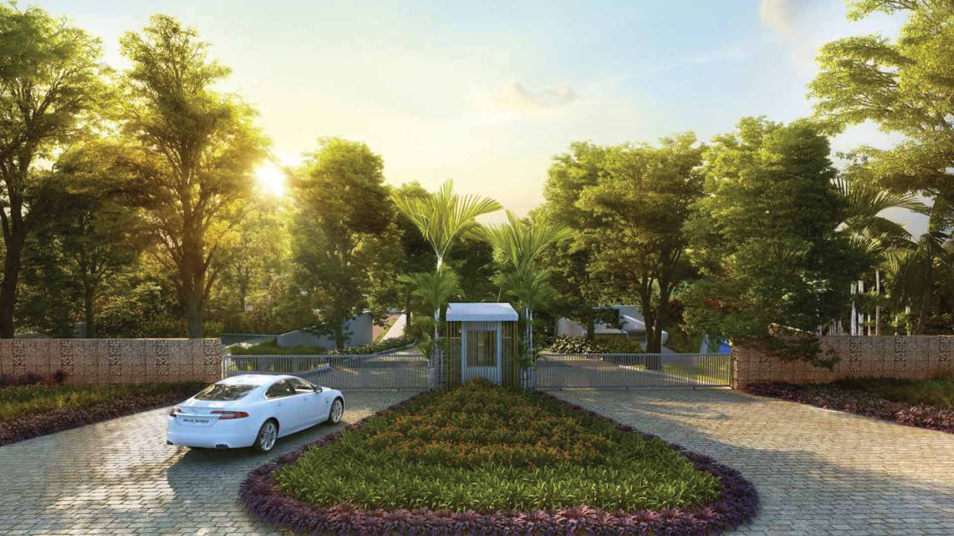 46 Banyan Tree - View 3