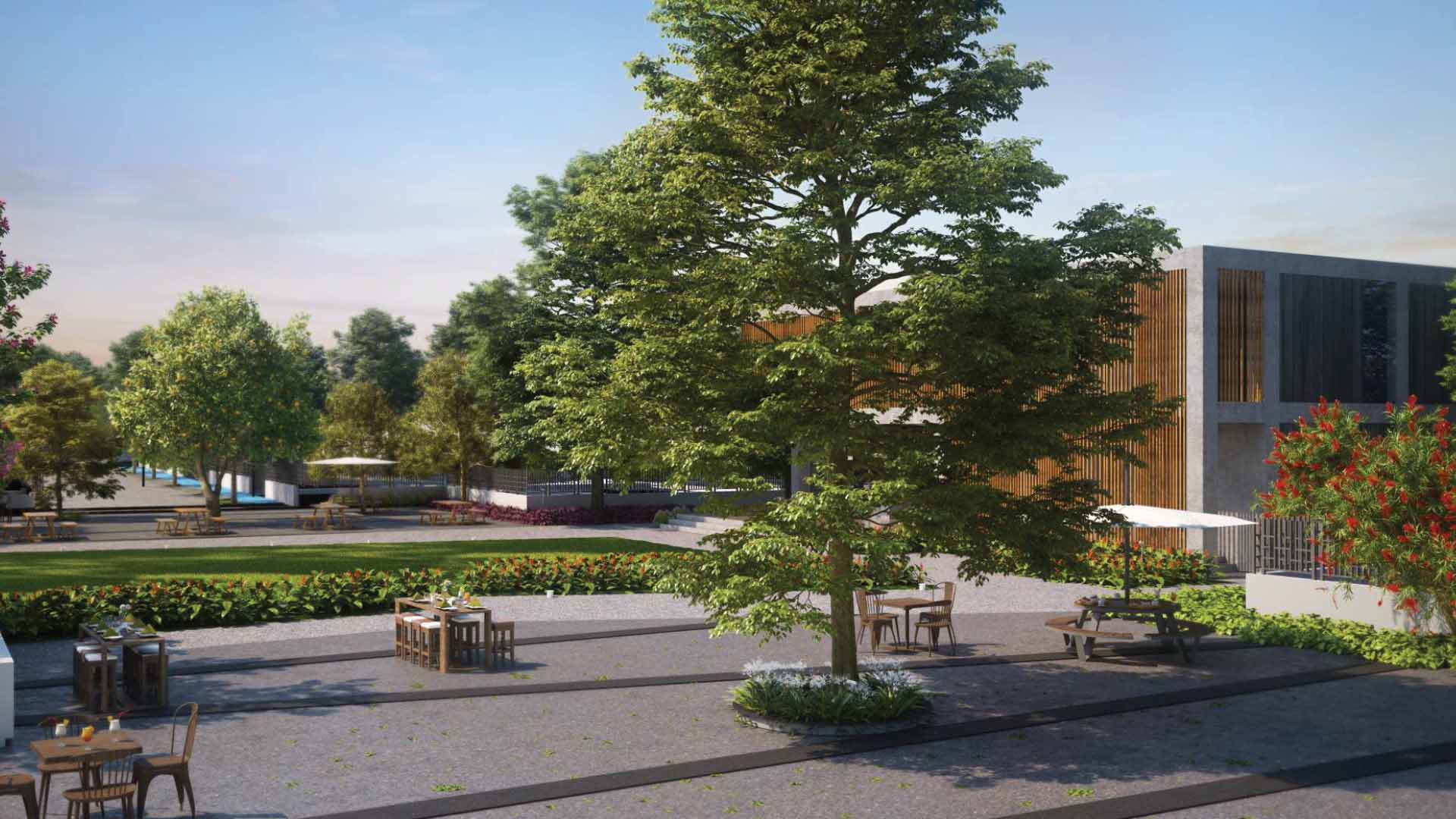 46 Banyan Tree in Chandked, Pune